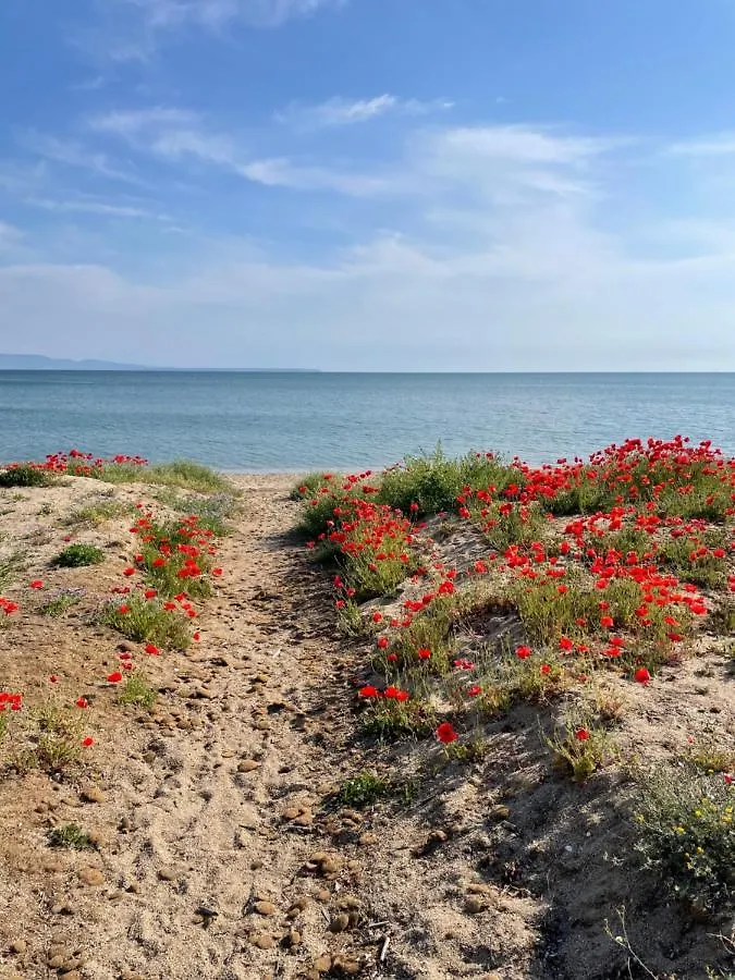 Couette-café B&B Tre - Rooms & Relax Oristano